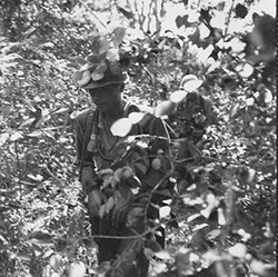 Operation Amarillo